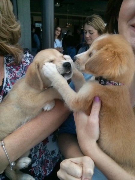 Morning Picdump