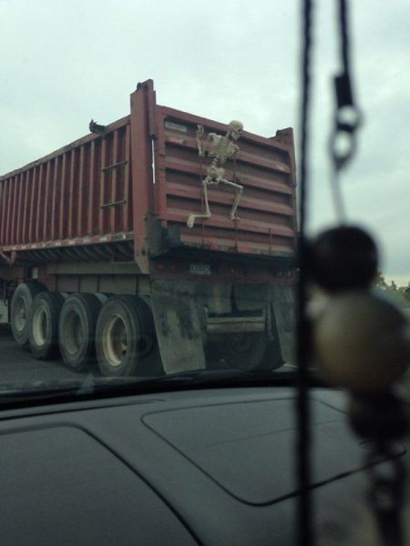 Morning Picdump