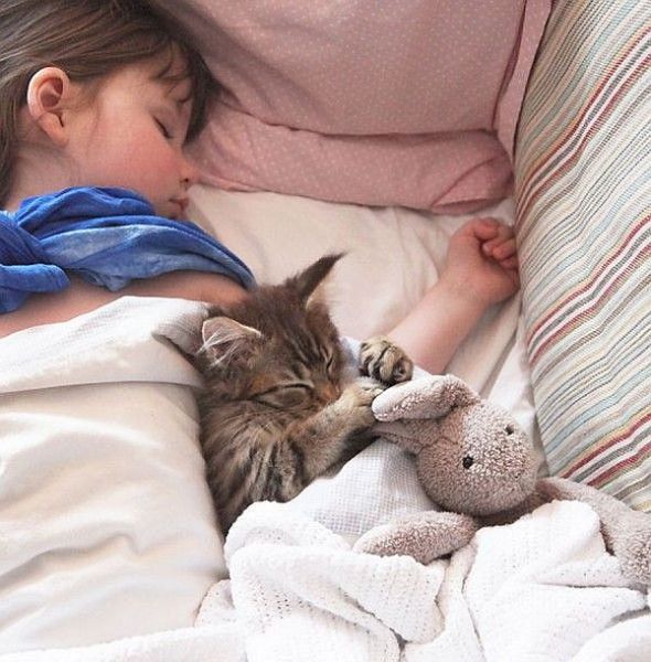 Morning Picdump