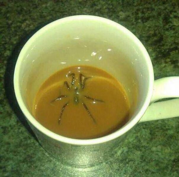 Morning Picdump