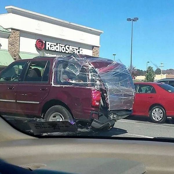 Morning Picdump