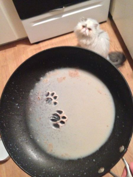 Content Image