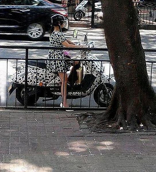 Daily Picdump