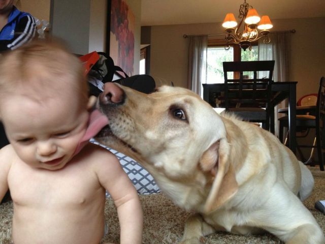 Daily Picdump