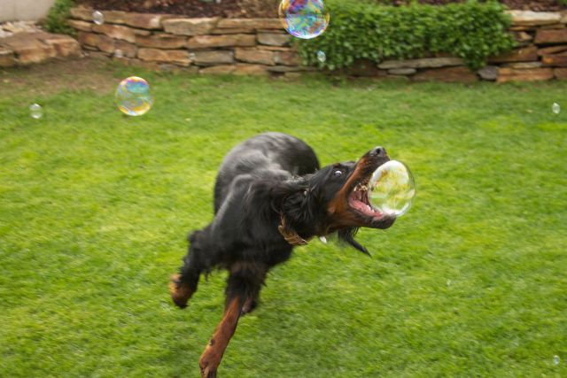 Daily Picdump