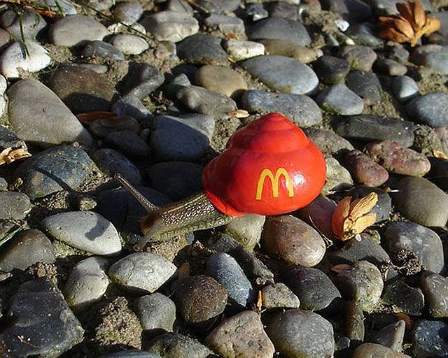 Content Image