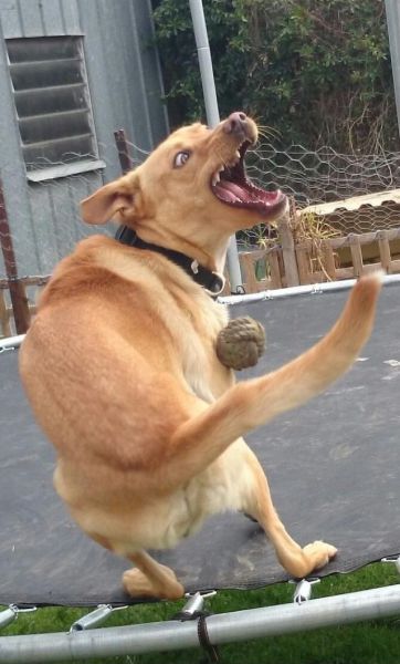 Content Image