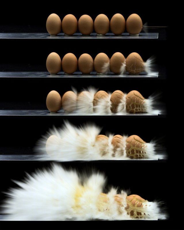 Daily Picdump