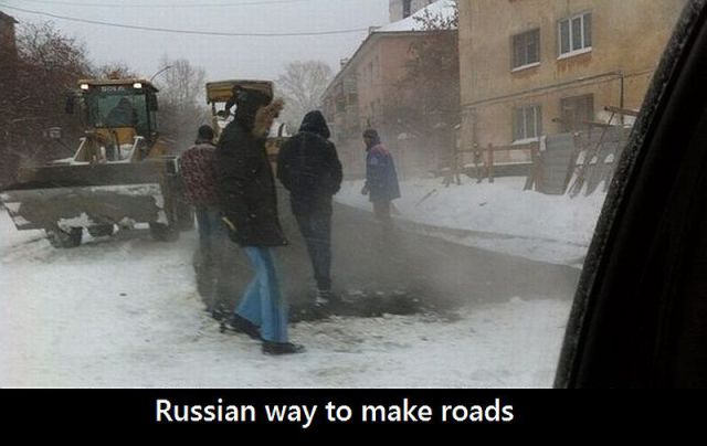 Daily Picdump