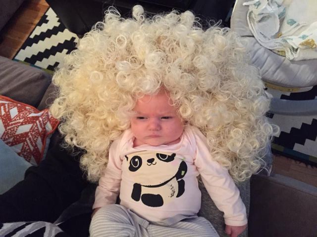 Daily Picdump