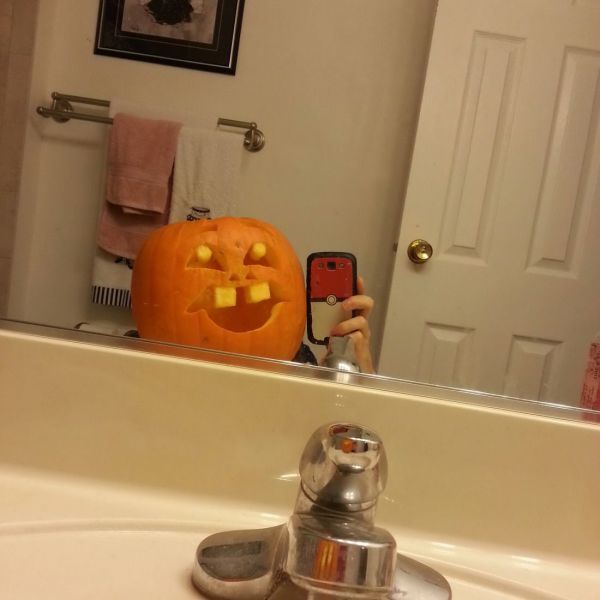 Daily Picdump