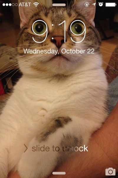 Content Image