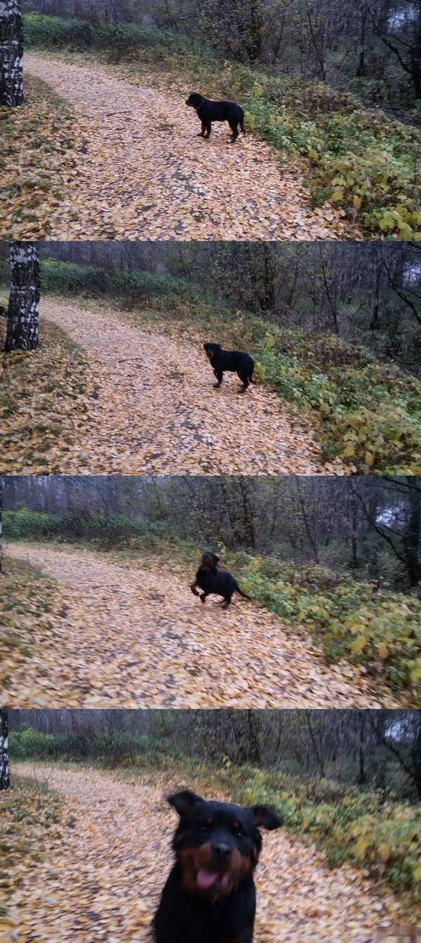 Daily Picdump