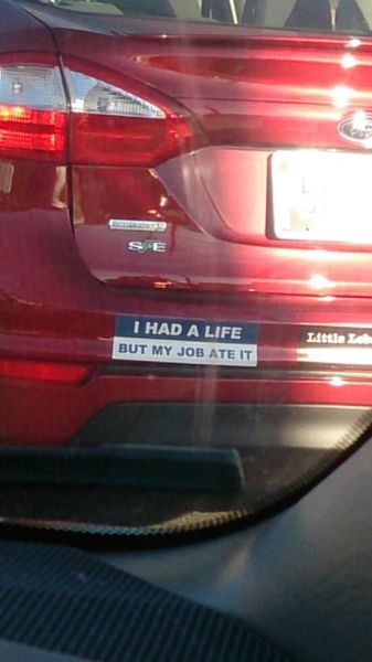 Morning Picdump