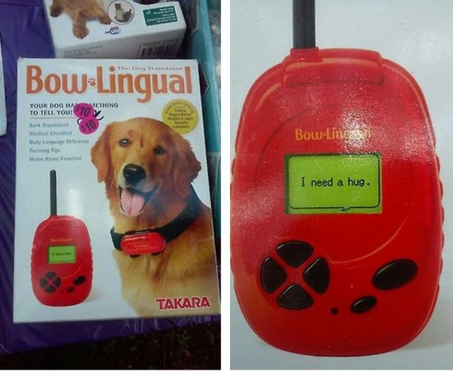 Daily Picdump