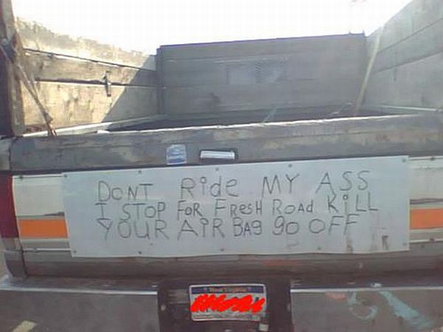 Daily Picdump