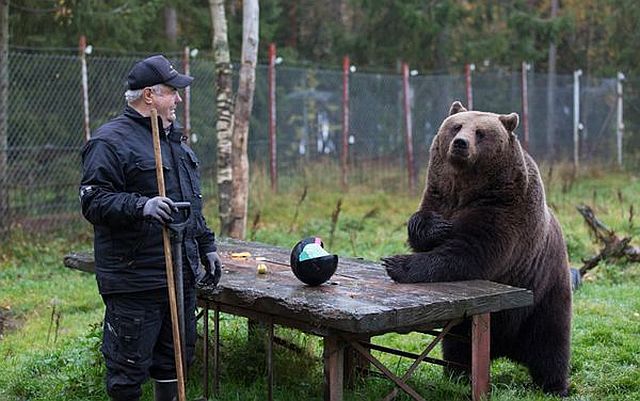 Daily Picdump