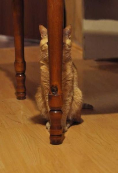 Daily Picdump