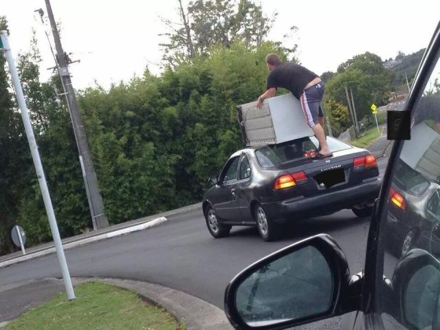 Daily Picdump