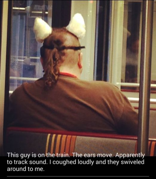 Daily Picdump