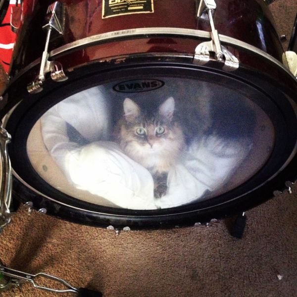 Content Image