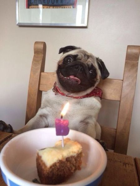 Morning Picdump