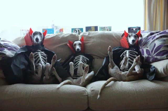 Morning Picdump
