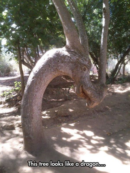 Content Image