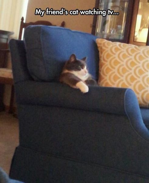 Content Image