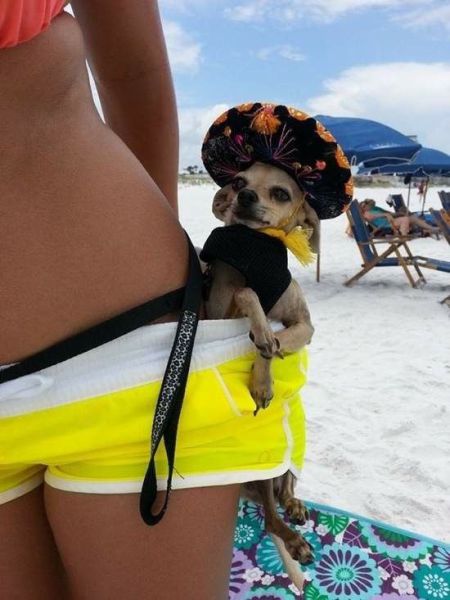 Morning Picdump