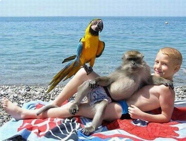 Morning Picdump