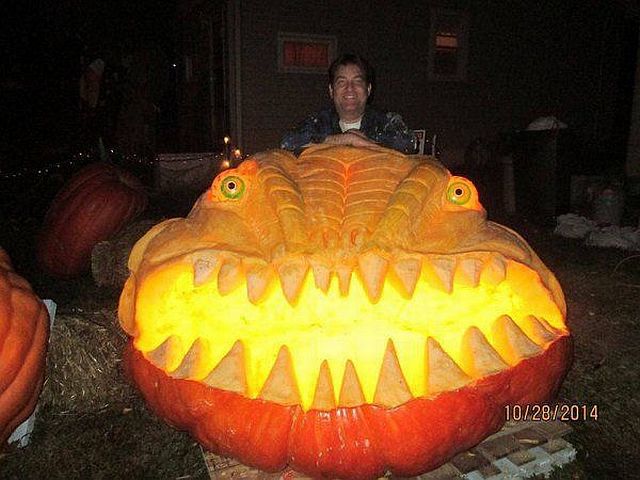Morning Picdump