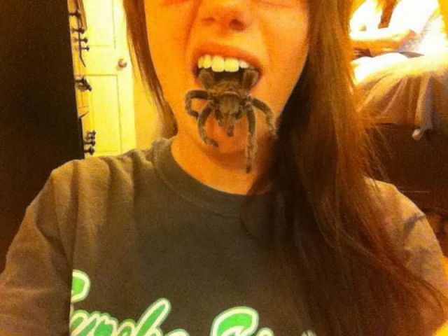 Daily Picdump [WEEKEND EDITION]
