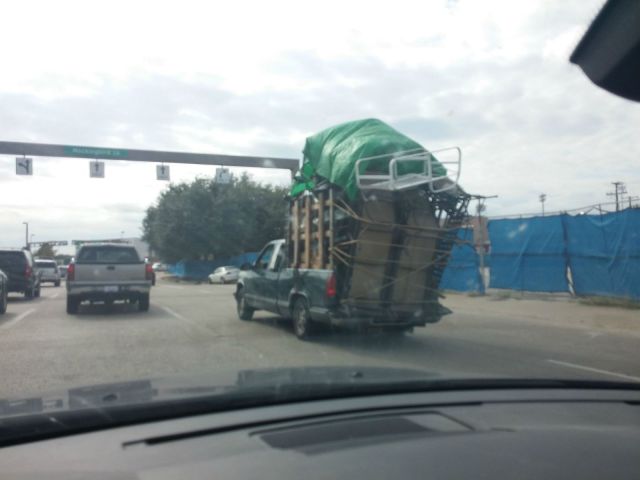 Morning Picdump