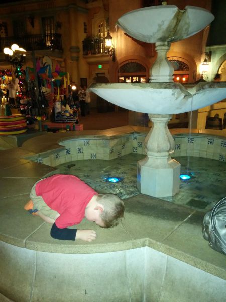 Morning Picdump