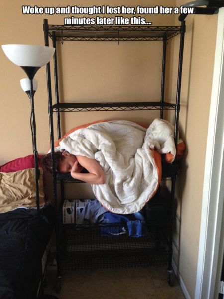 Morning Picdump