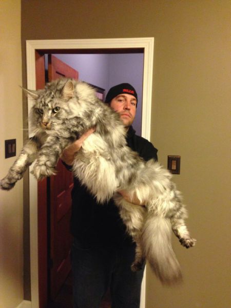 Morning Picdump