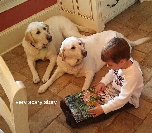 Morning Picdump