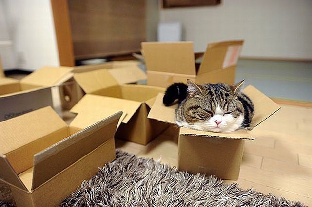 Morning Picdump