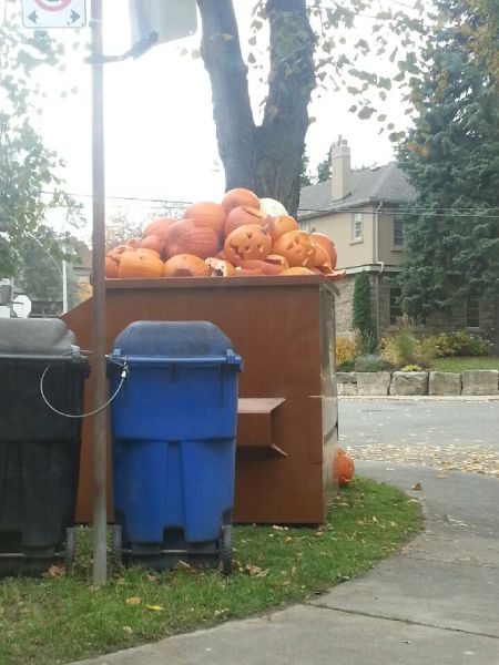 Morning Picdump