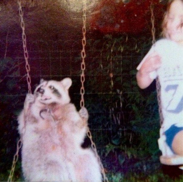 Content Image