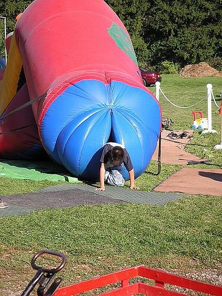 Daily Picdump