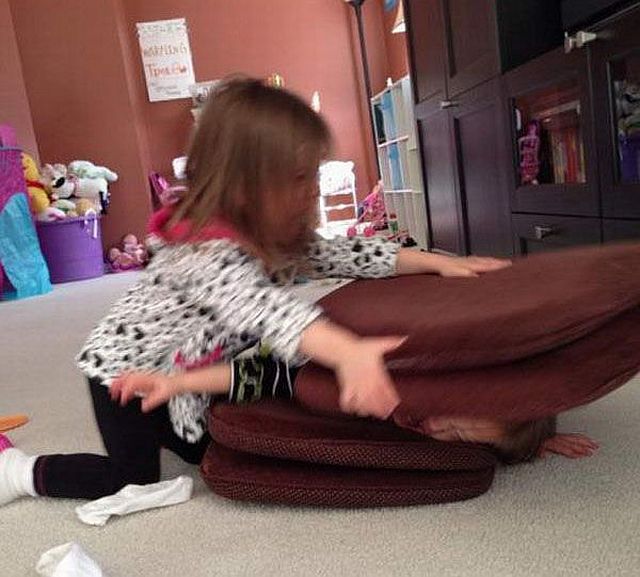 Daily Picdump