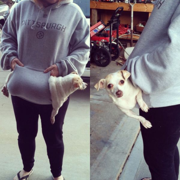 Daily Picdump
