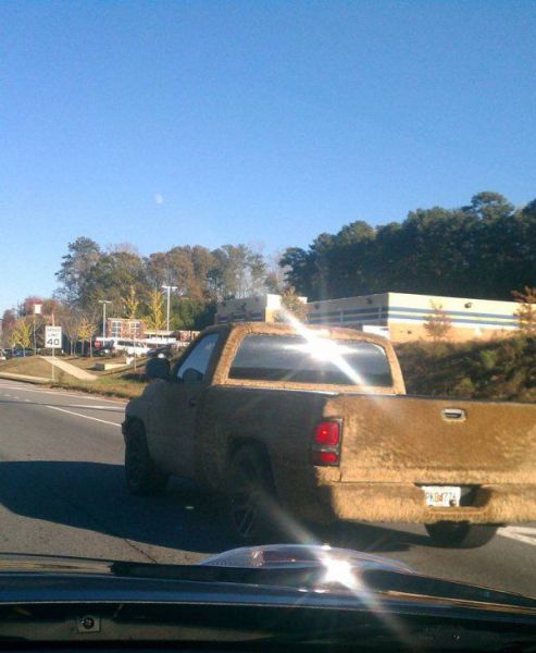 Daily Picdump