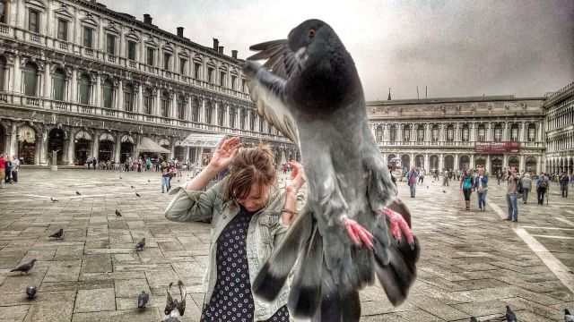 Daily Picdump