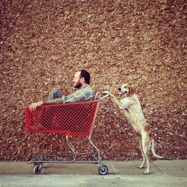 Daily Picdump
