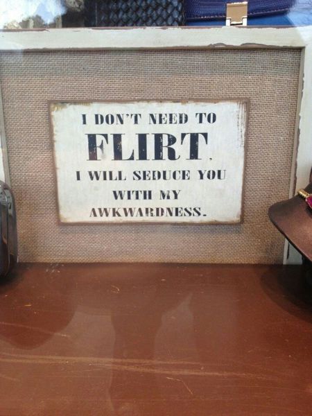 Daily Picdump