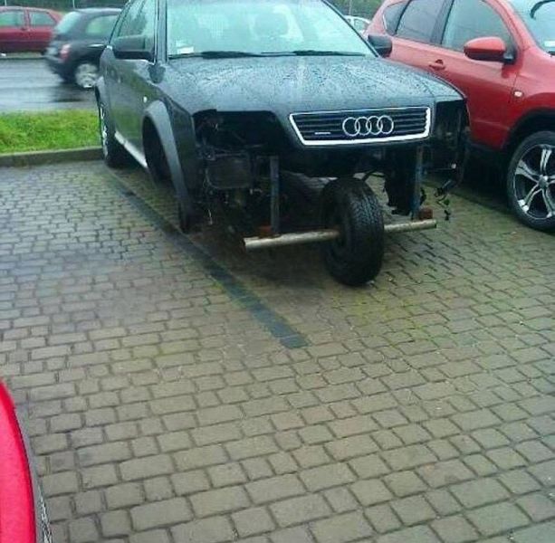 Daily Picdump