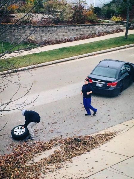 Daily Picdump